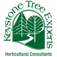 Keystone Tree Experts