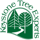 Keystone Tree Experts