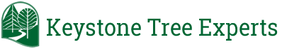 Keystone Tree Experts